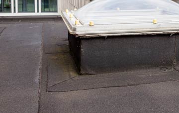 disadvantages of Young Wood flat roofs