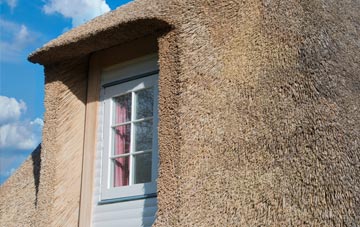 Young Wood thatch roof disadvantages