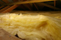Young Wood pitch roof insulation